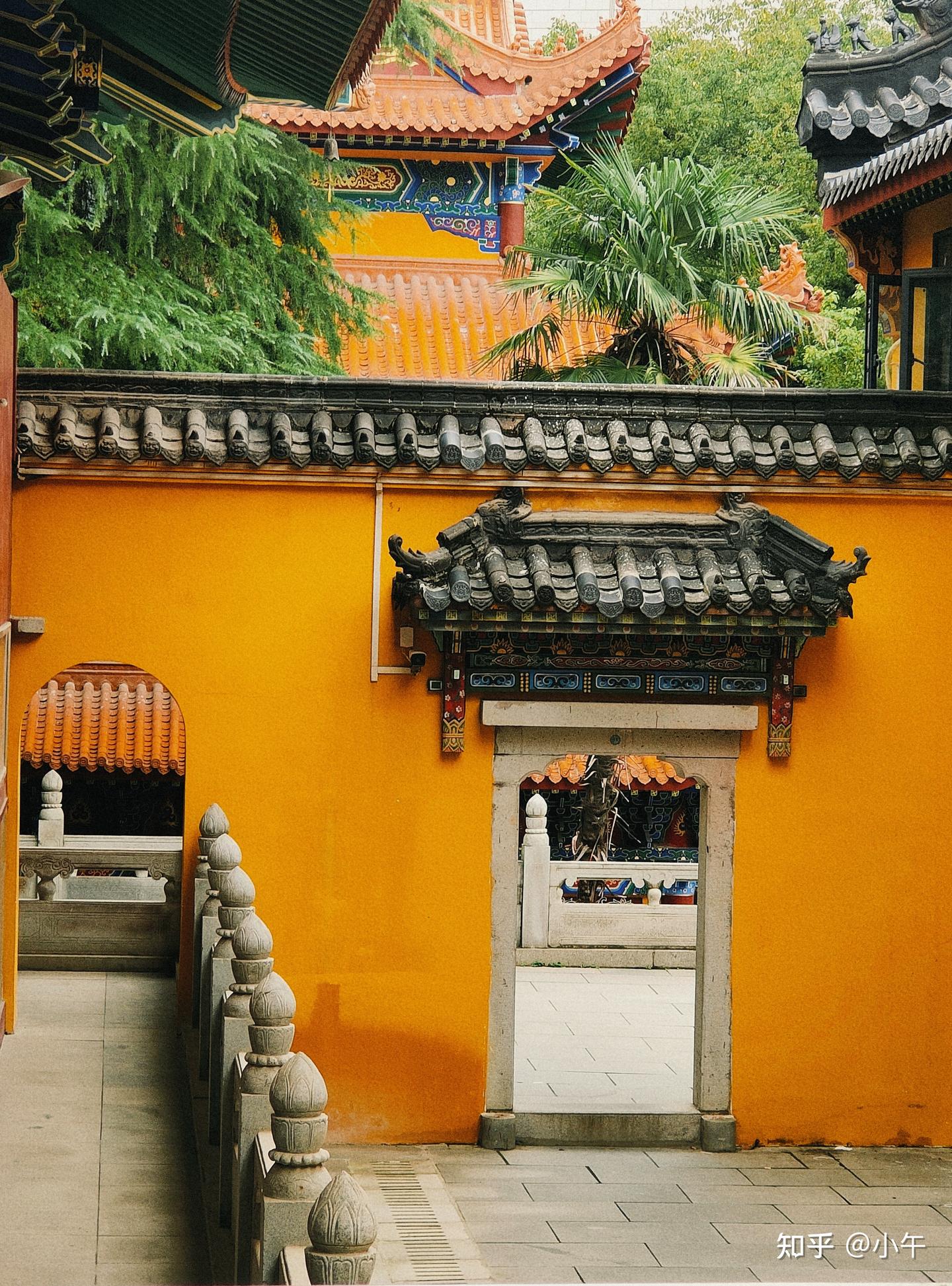 武汉宝藏寺院漫步-宝通禅寺 - 知乎