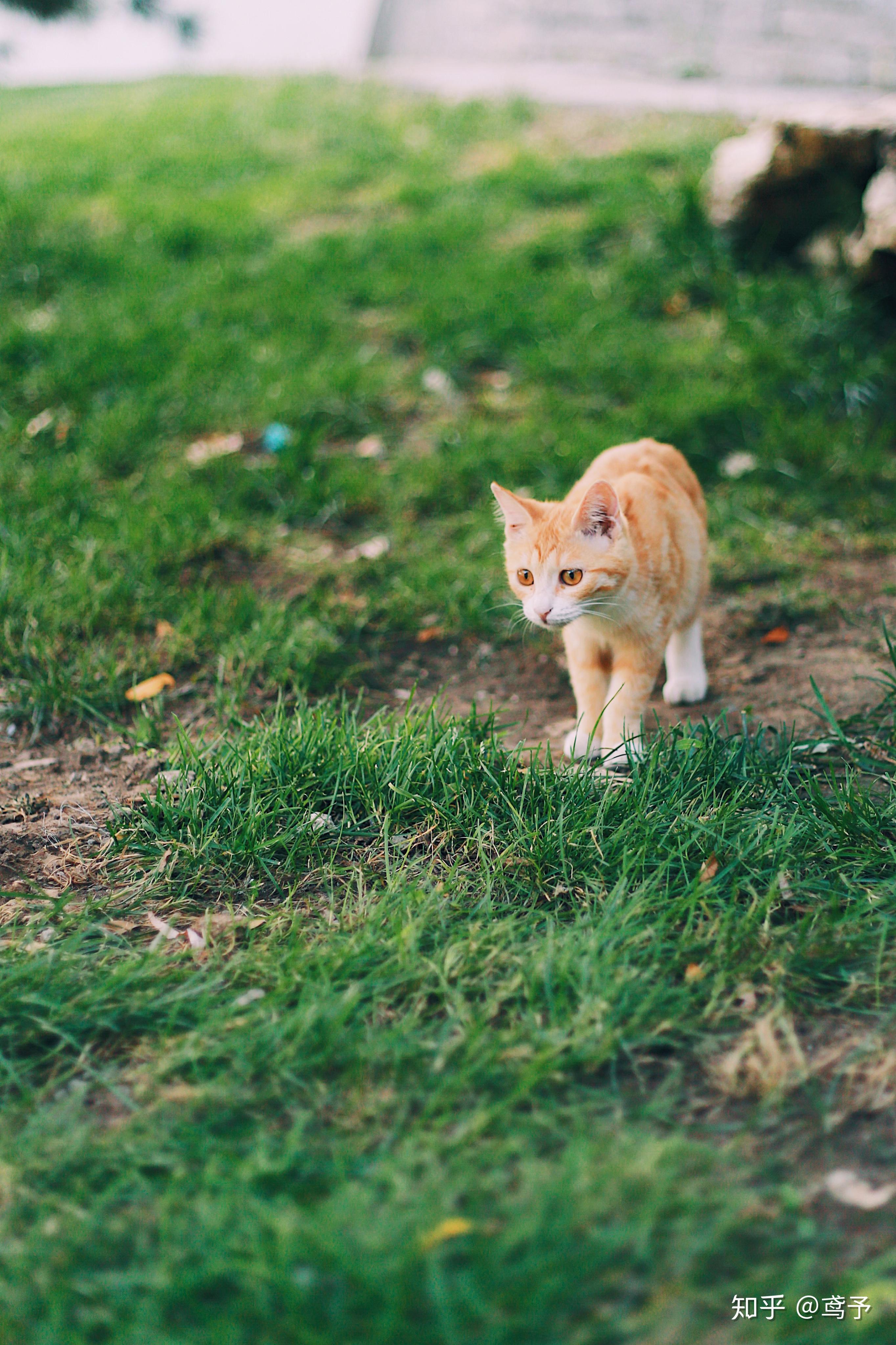 在你的摄影生涯里用50mm定焦镜头拍出过哪些满意的作品