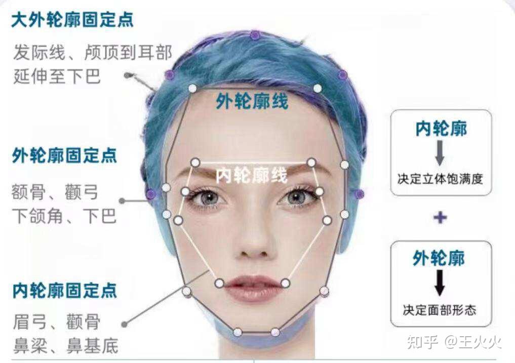 面部轮廓示意图图片