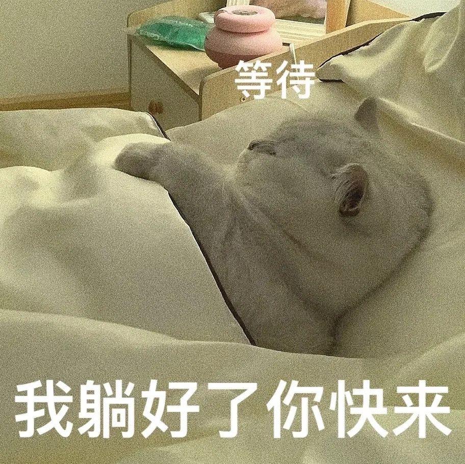 有哪些色色的表情