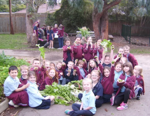 英国小学和国内小学的三年级学生学习 自然科学 有什么差异 知乎