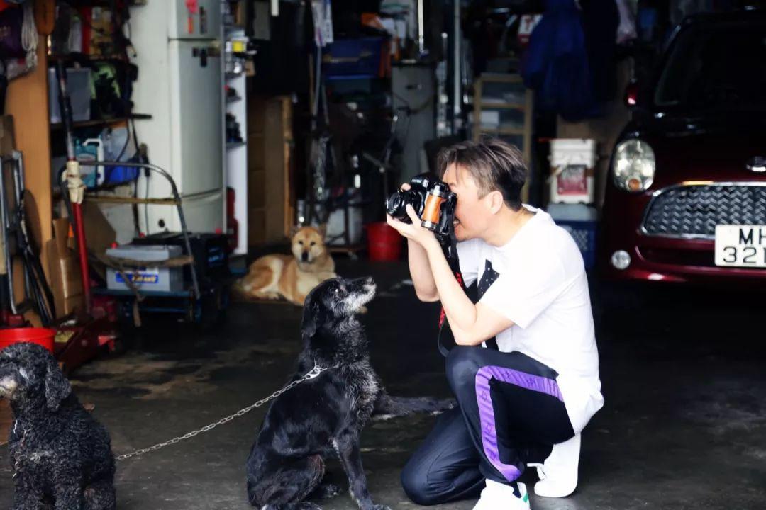 如何评价郑中基的摄影水平?-郑中基的摄影