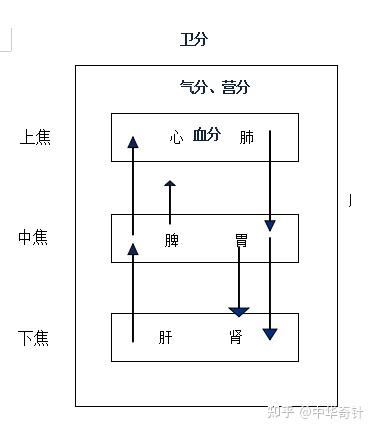 中医的三焦四分模型之下篇 - 知乎