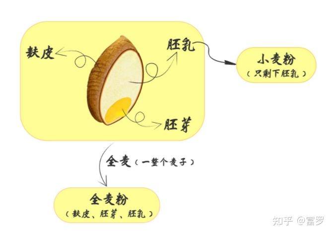 全麦粉是把整粒小麦包括麸皮,胚芽和胚乳全部直接研磨得到的面粉