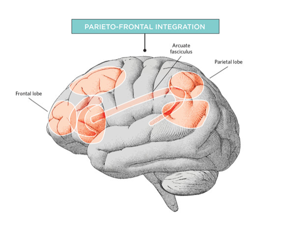 认知能力是智力吗 v2-42c9427ab4c0c8c185cd295c08c123d5_1440w.jpg?source=172ae18b