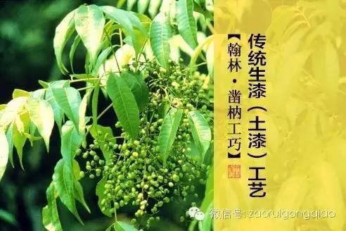 您对传统生漆工艺了解多少 - 知乎