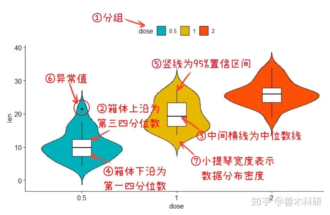 读文献先读图：小提琴图怎么看？ 知乎 