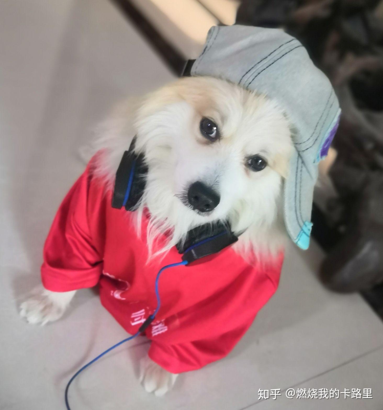 知乎