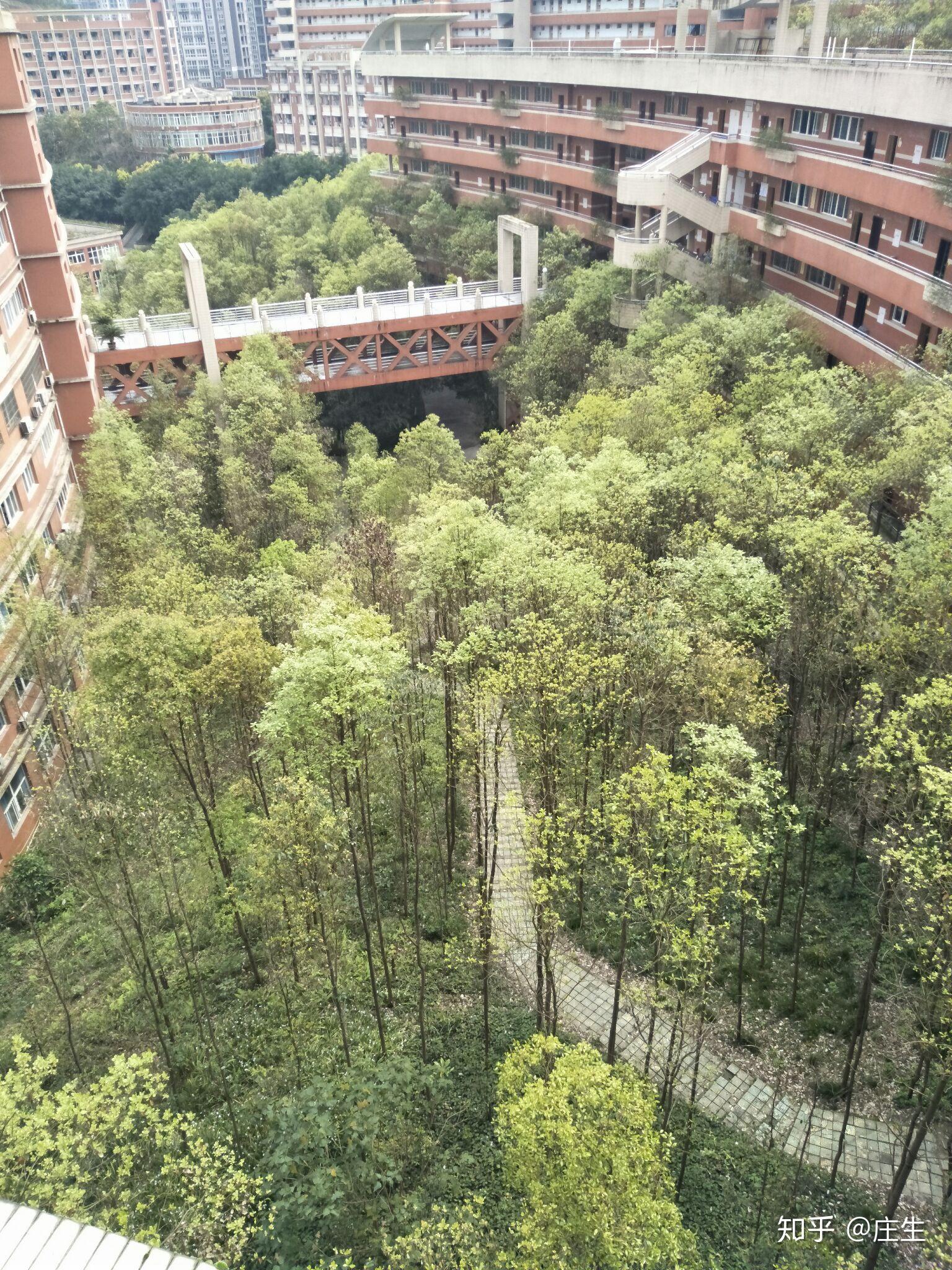 就读于涪陵五中是一种什么样的体验? - 知乎