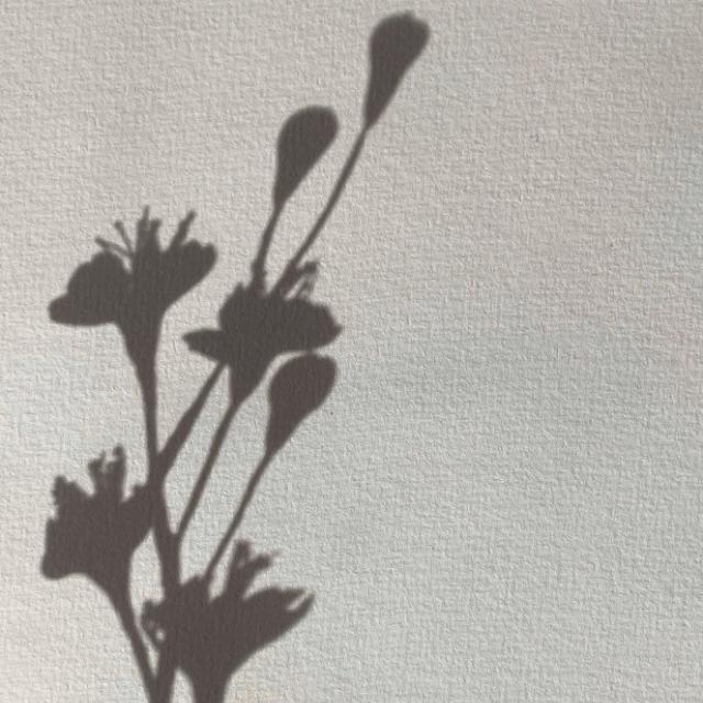 宋词有蝶恋花、鹧鸪天这些词牌名，那么到底什么是词牌名呢，能不能通俗易懂的说一下？