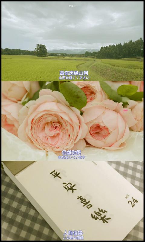 壁纸类 知乎 壁纸类 知乎