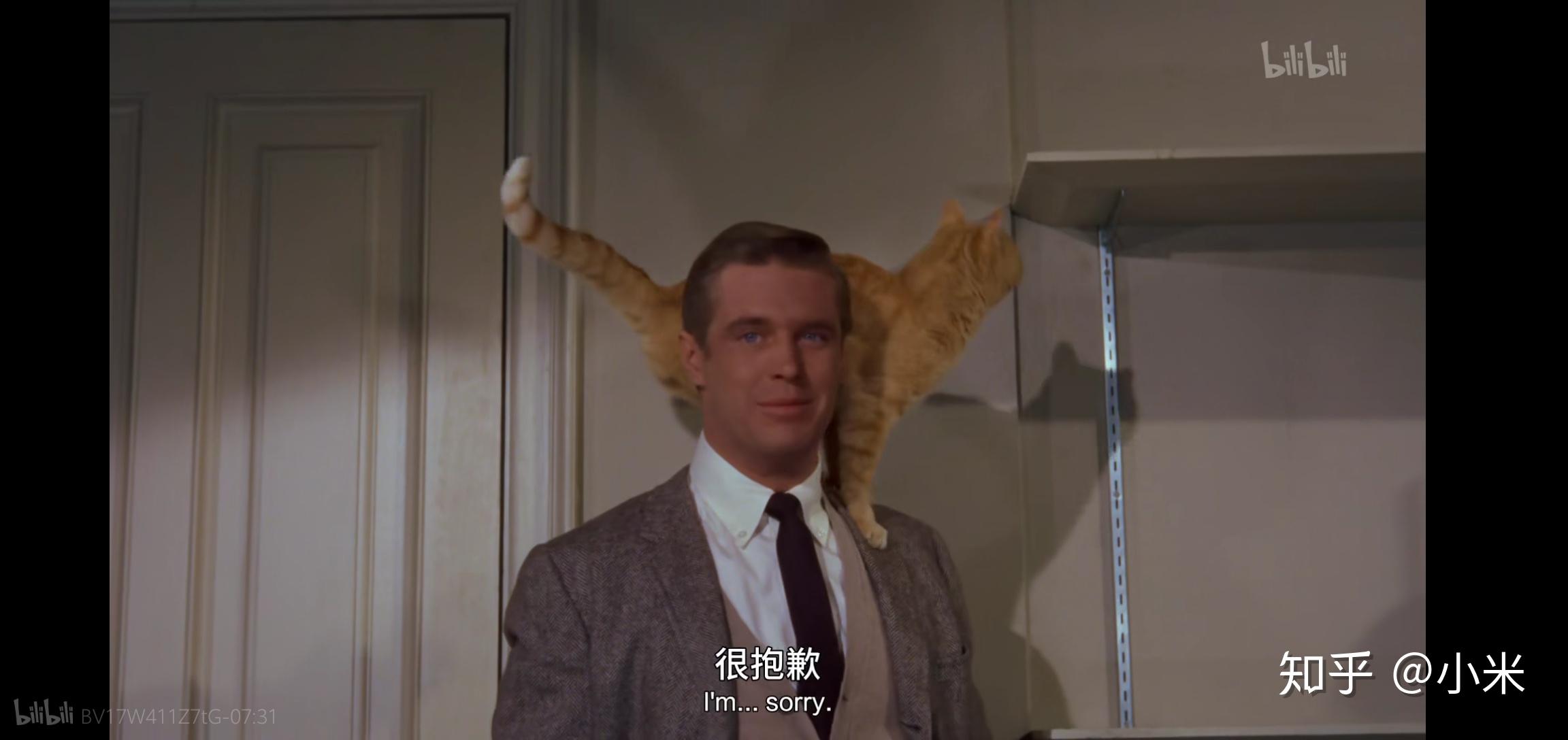 为什么我家猫老是爱扑我的脚?该怎么纠正? - 知乎