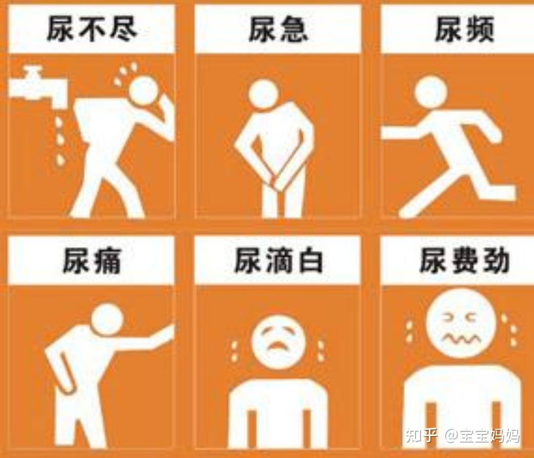 知乎