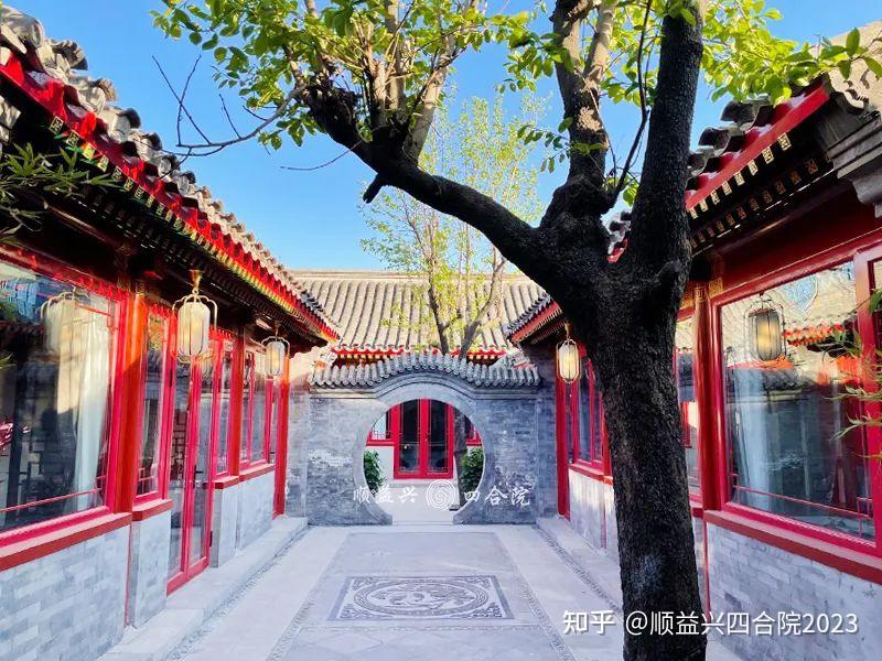 不管院子多大，千万别种这5种树！都是经验啊 - 知乎