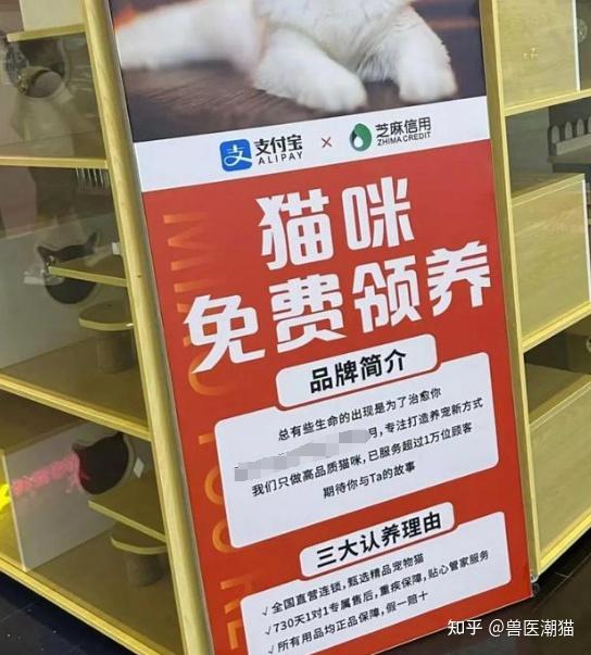 多地曝出免费领养猫咪却陷入「猫贷」纠纷事件，宠物免费领养有哪些套路？如何规避？