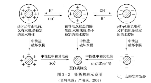 蛋白质纯化沉淀法技术详解 - 知乎