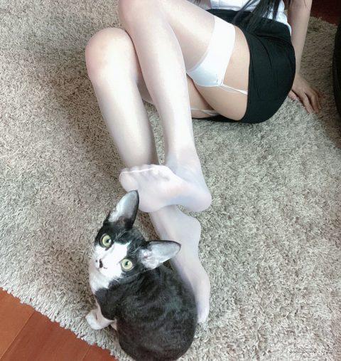 图片[6]-51酱 – 全套19期&随包视频[4.6G-2025.12]-佳人吧