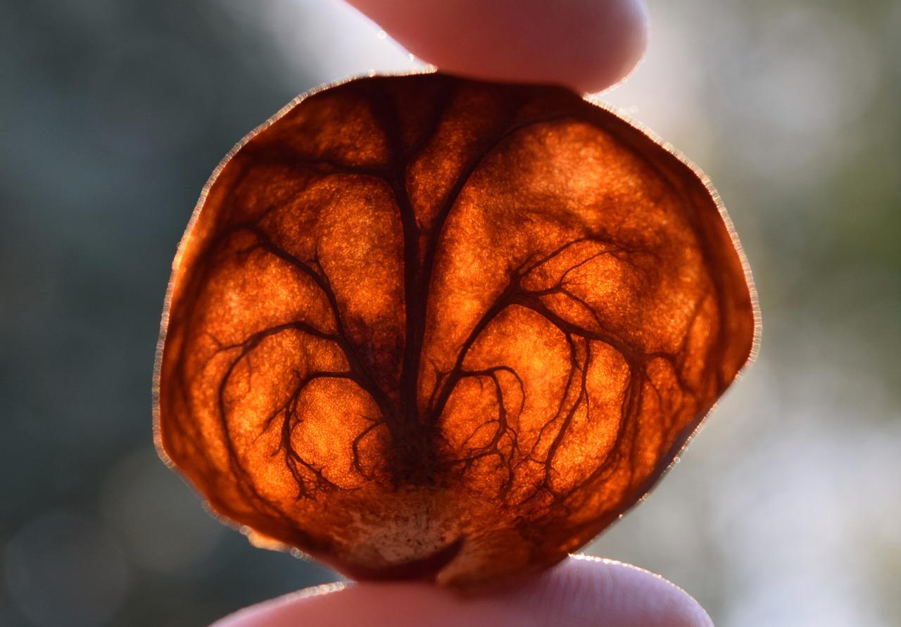 2. 松动螺母方法