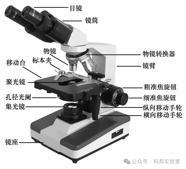 显微镜小知识:生物显微镜
