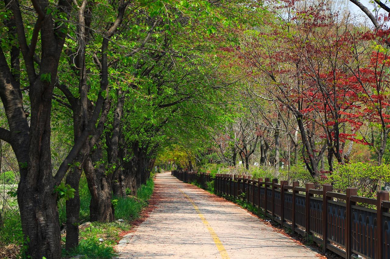 5. 楼盘品质评价