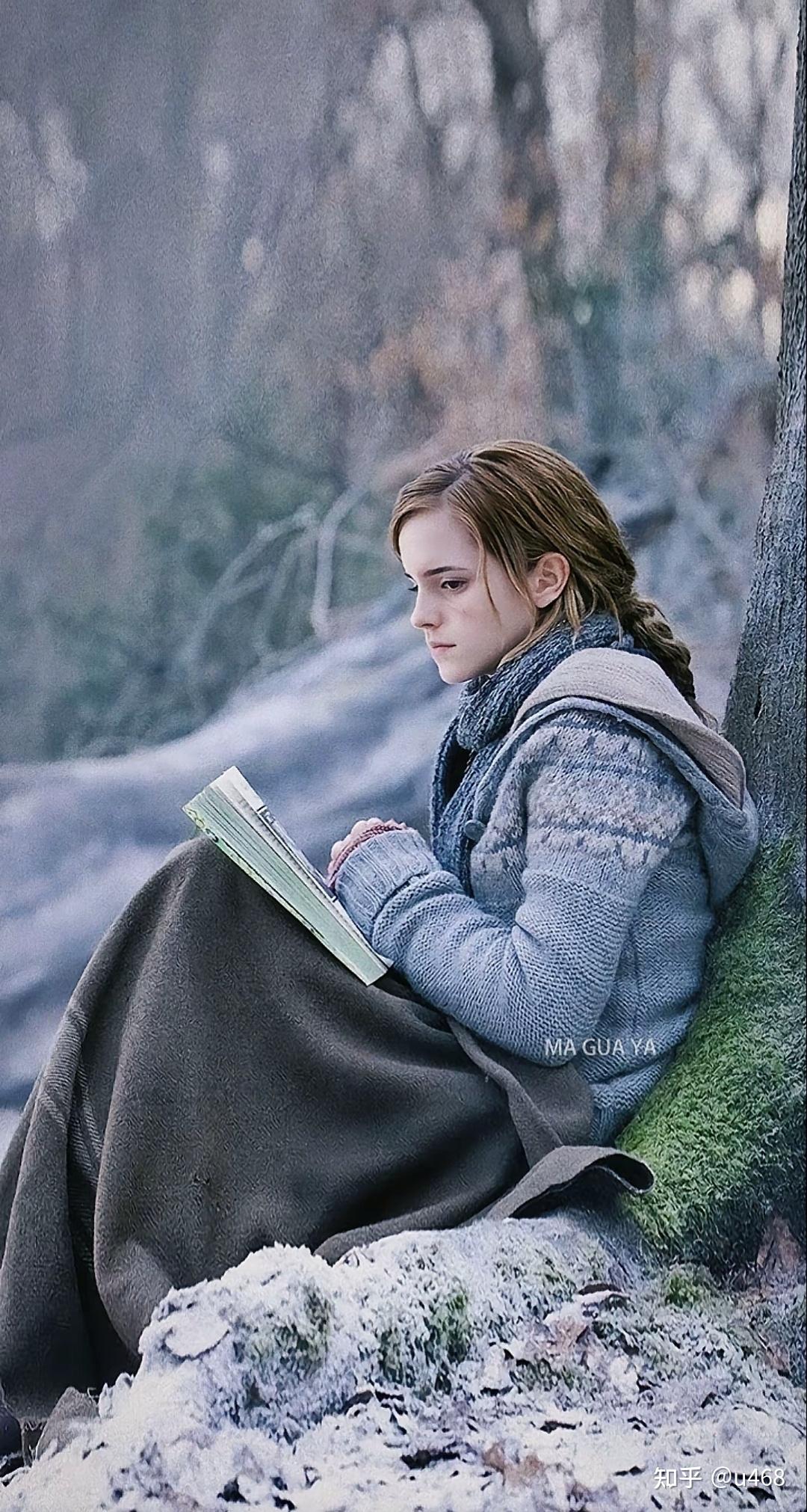 《哈利·波特》中赫敏的诱惑在哪里?