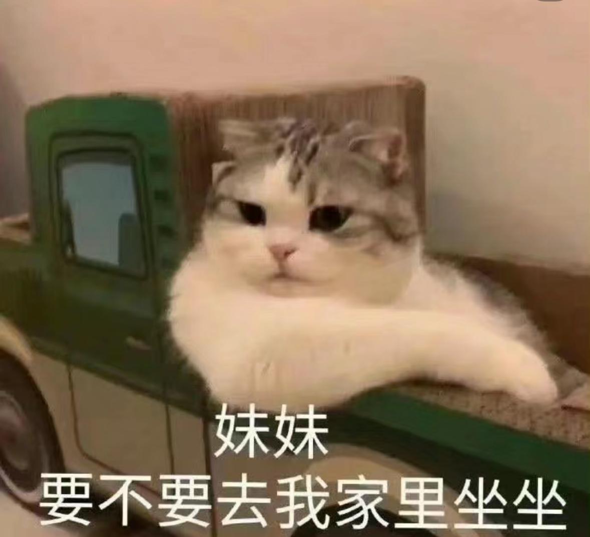 有没有可爱犯贱的表情包啊