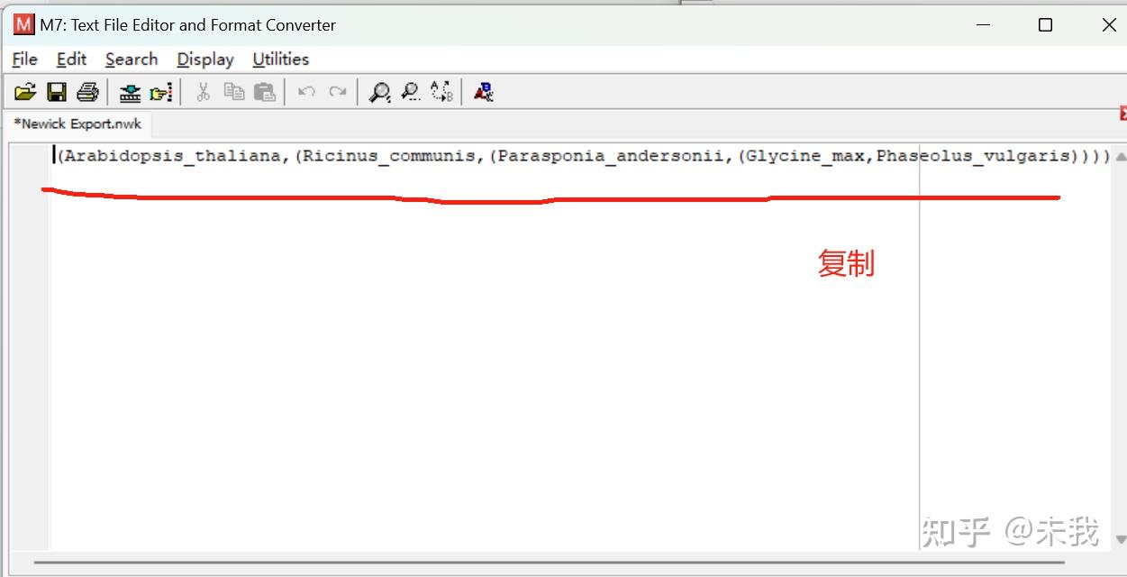 物种树构建 - 知乎