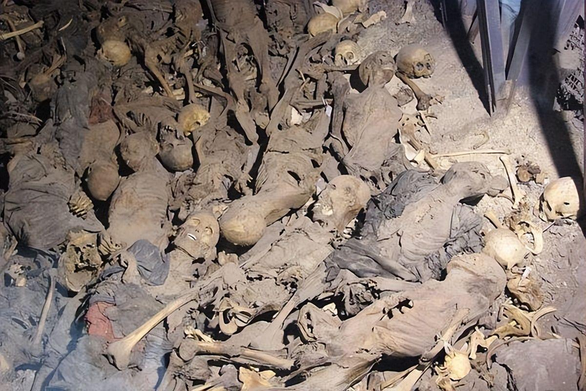 可以分享一张你相册里的照片吗