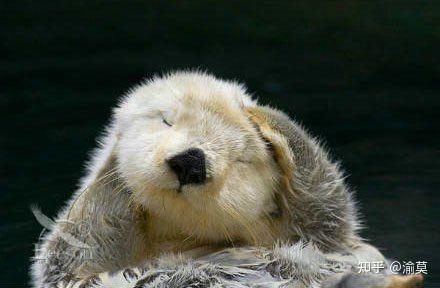 胆子真的太小了怎么办