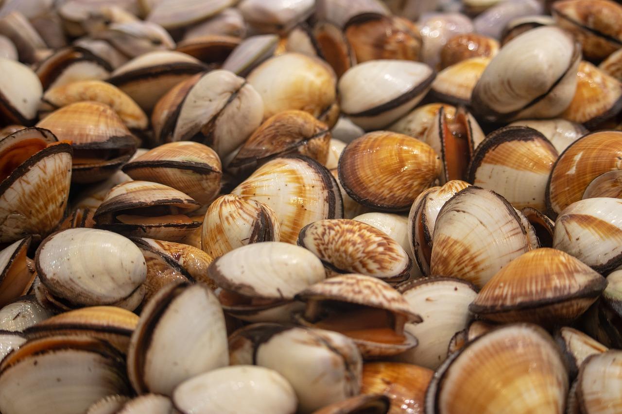 绿化环境细节解读