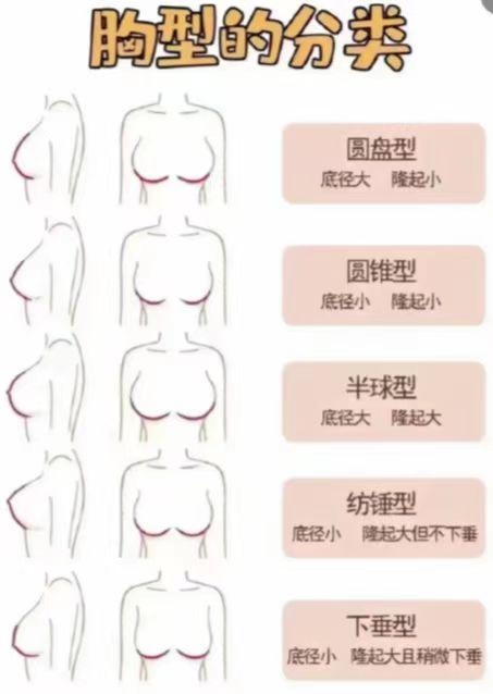 乳房形状分为图片