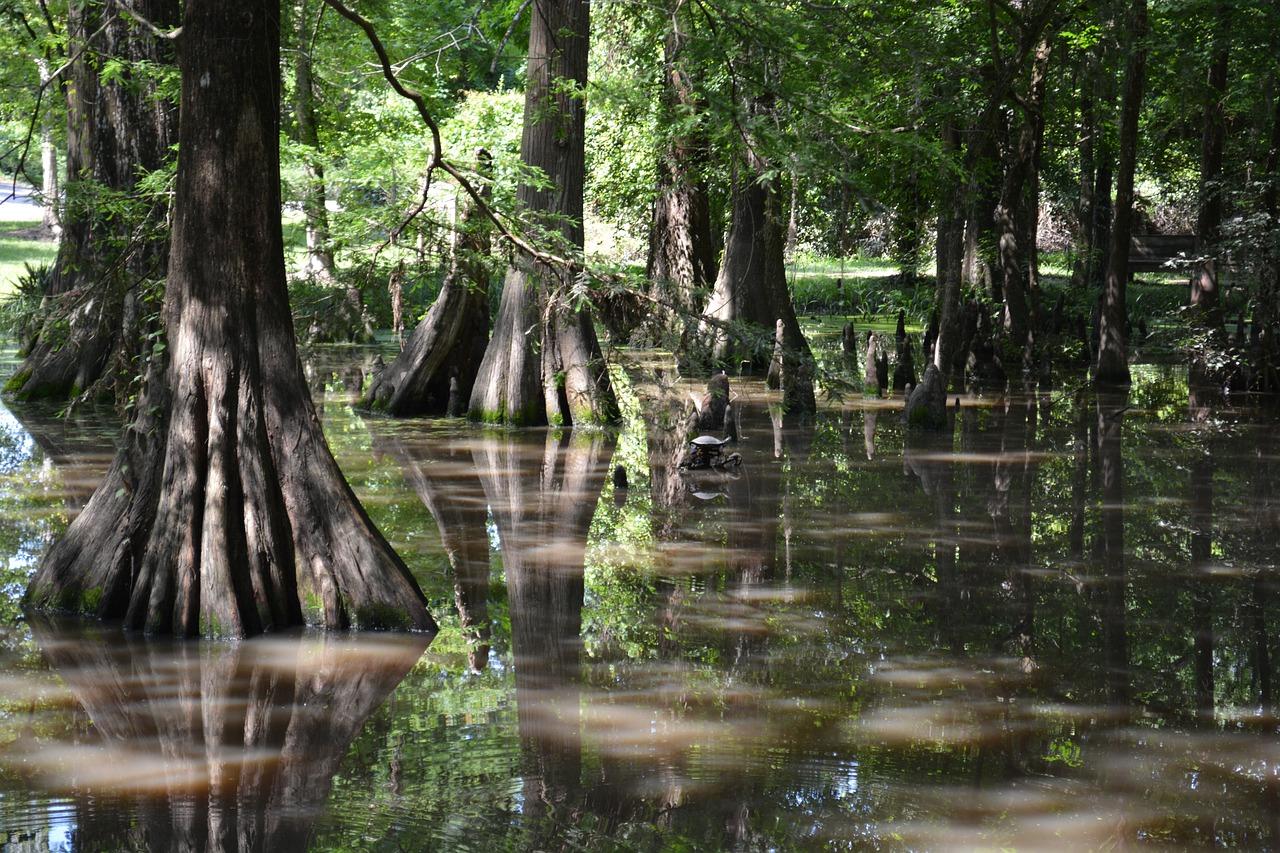 甜蜜小镇的产权多少年