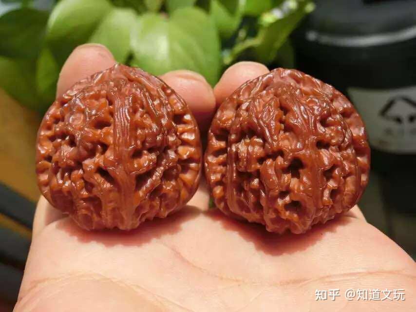 文玩核桃品种：白狮子- 知乎