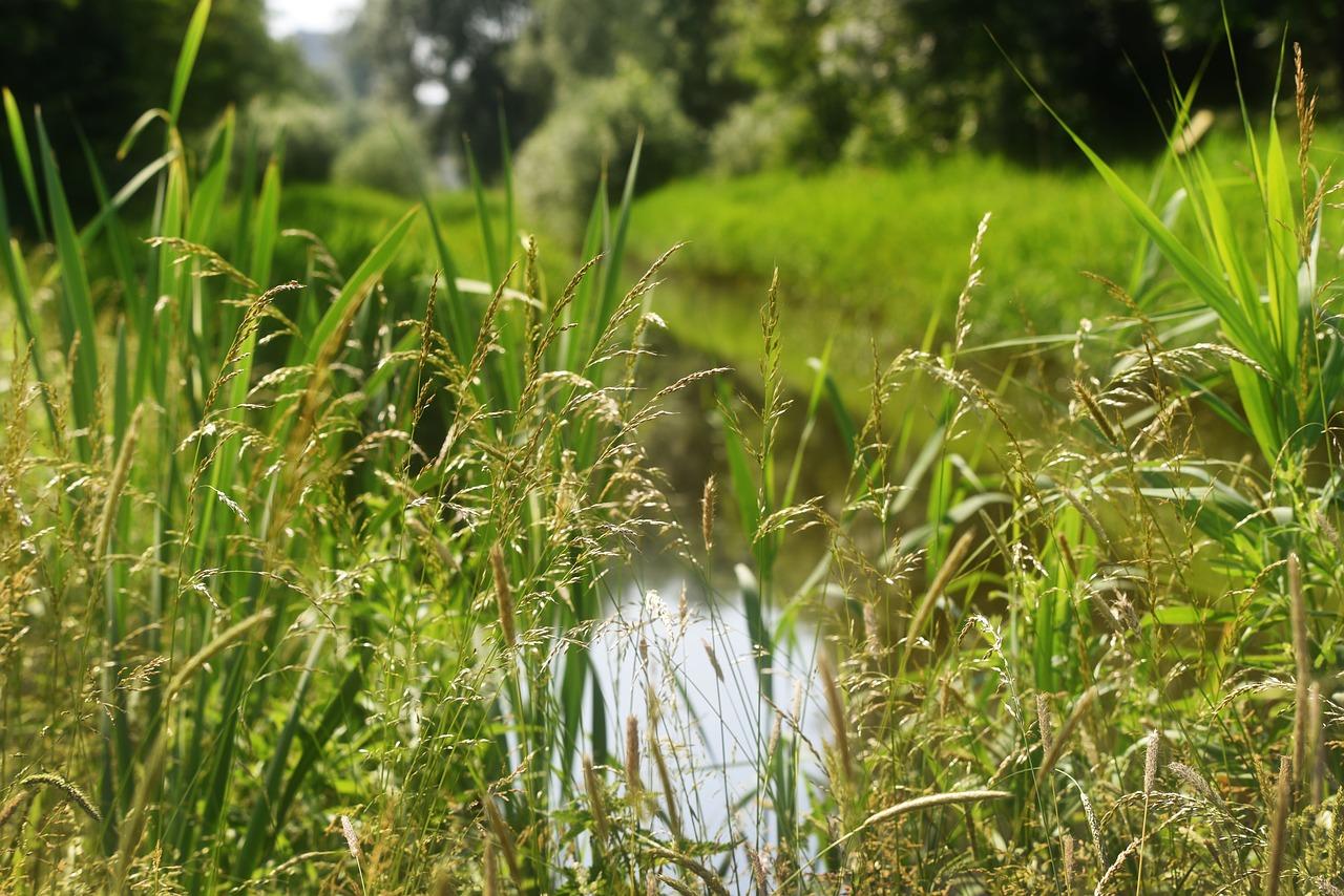 2. 数沟地理优势