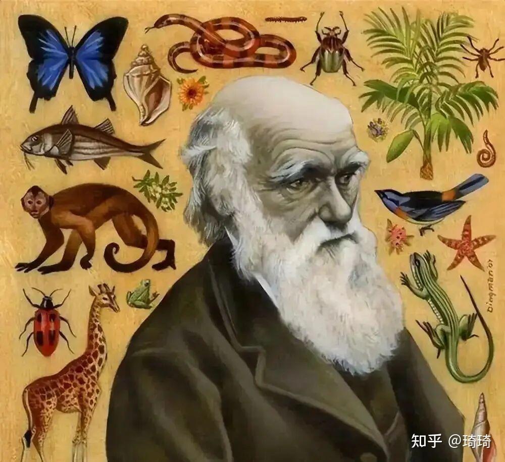 为何有人不信拥有大量证据的进化论,反而相信没有证据的神创论? - 知乎