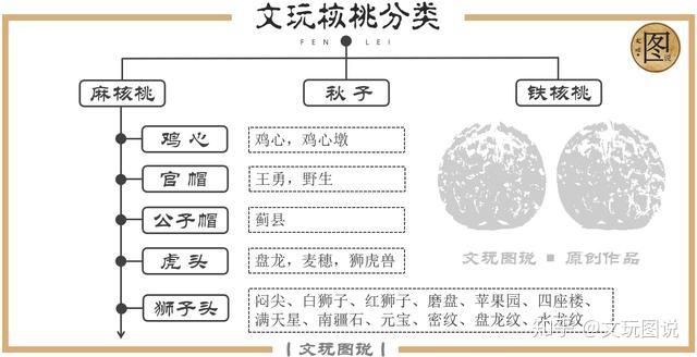 图说丨文玩核桃，文玩核桃分类大全，四大名核，看图就懂- 知乎
