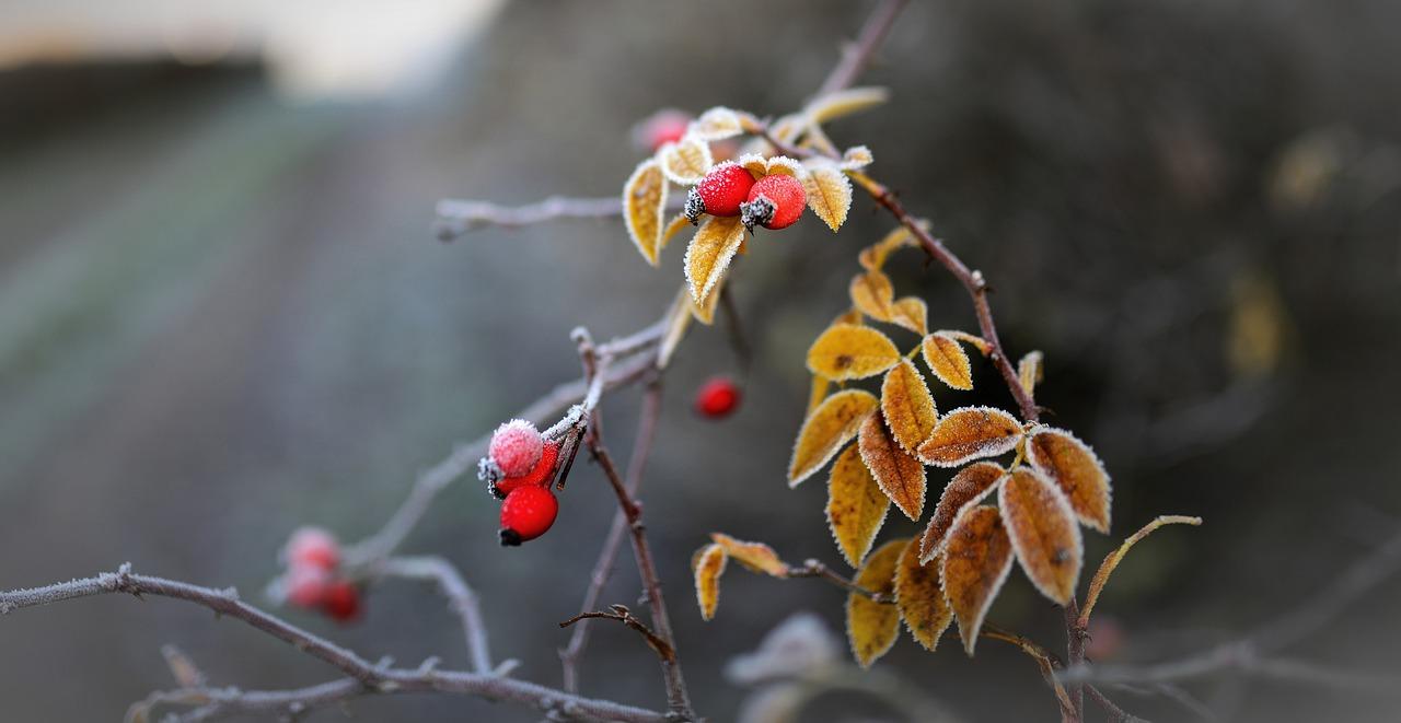 冰箱霜层处理法