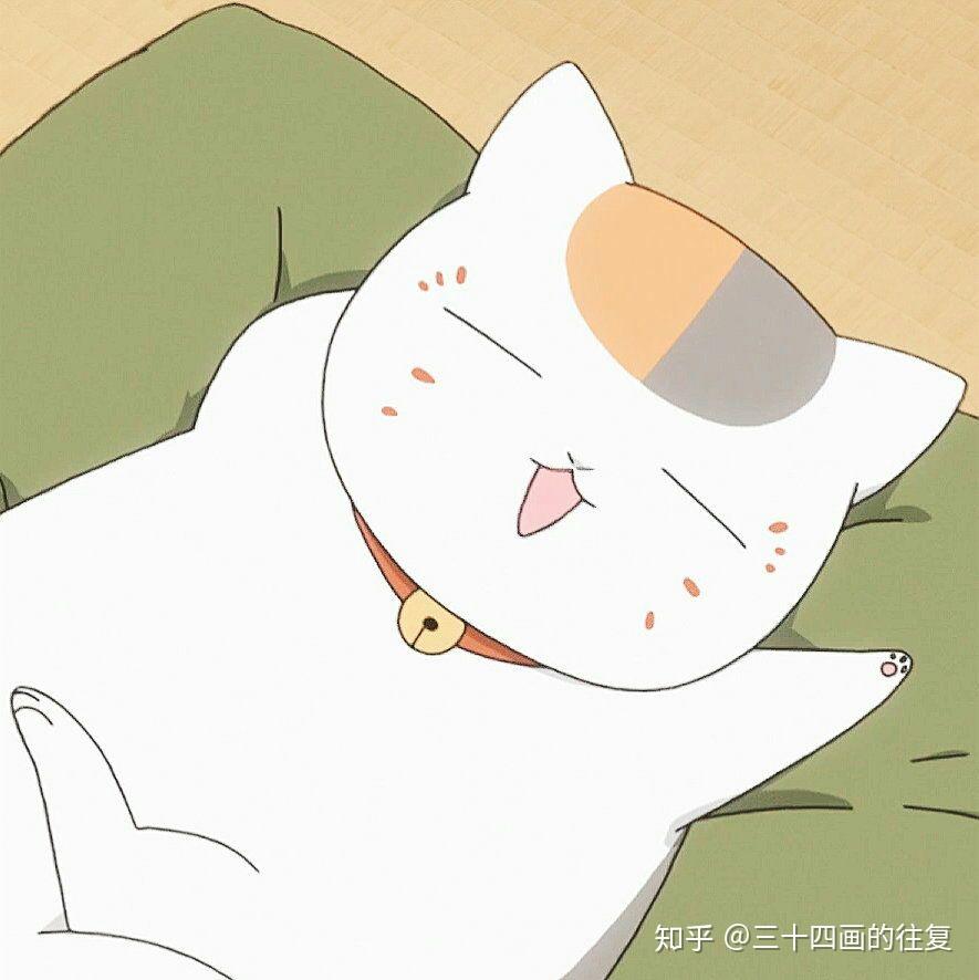 请问有哪些猫咪动漫卡通形象另求图阳光下的猫咪