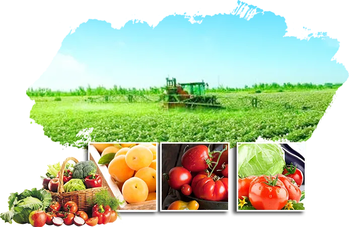 发展绿色有机农业有哪些好处