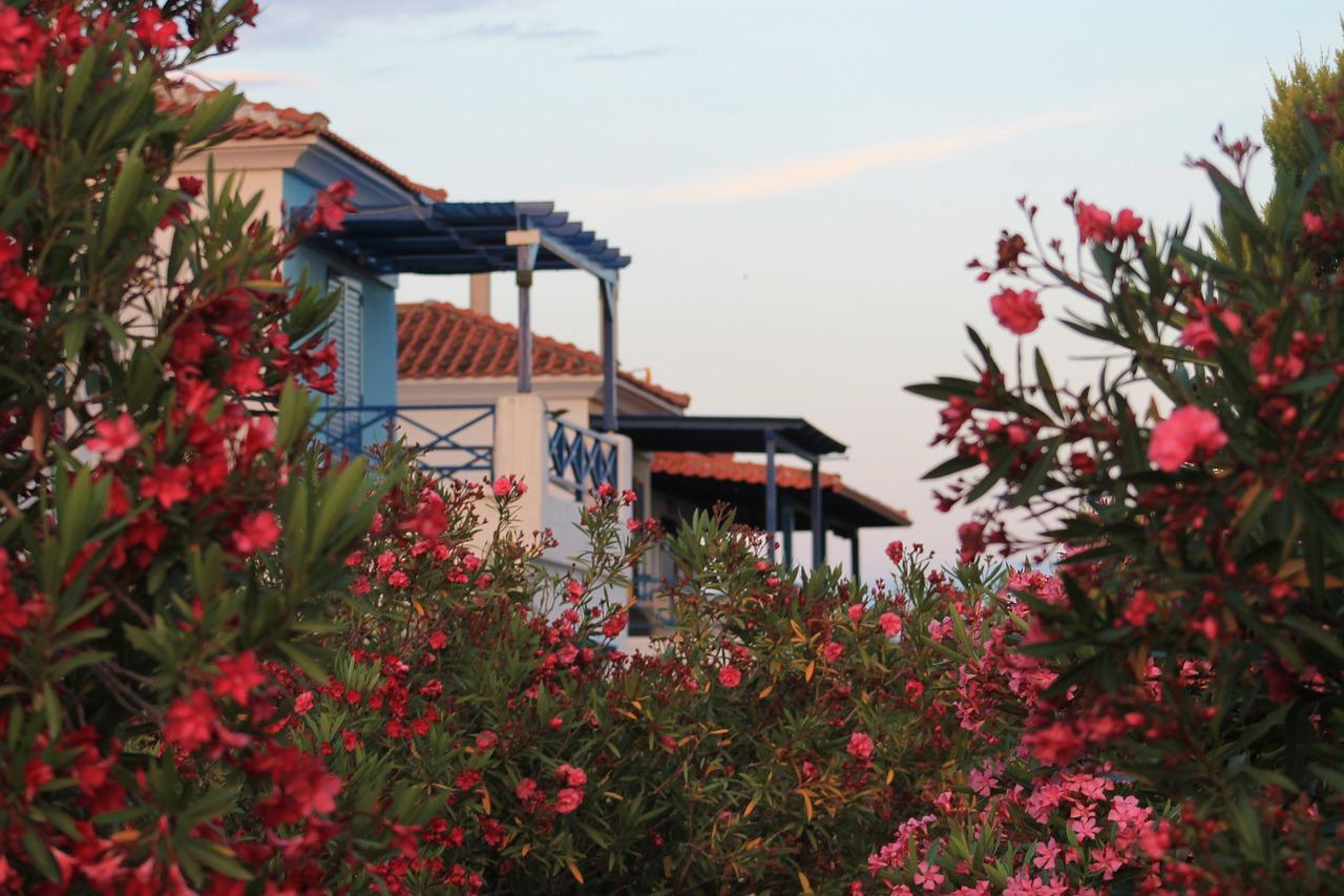 正常的建筑比例是多少