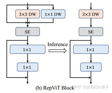 [论文精读]RepViT: Revisiting Mobile CNN From ViT Perspective - 知乎