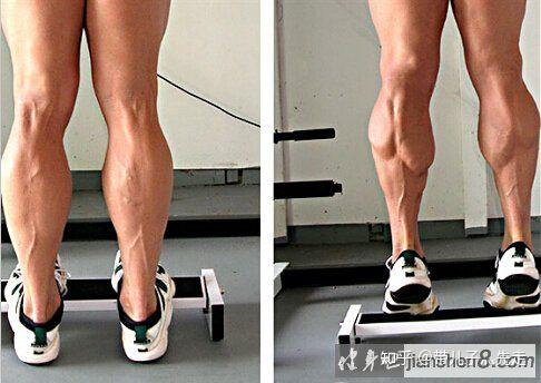 小腿怎么练? - 知乎
