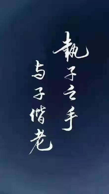 每天读一点被误会的执子之手与子偕老