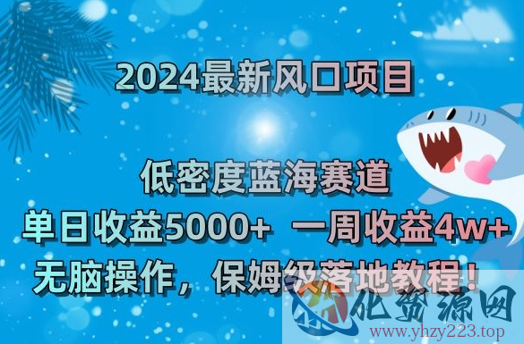 2024最新风口项目，低密度蓝海赛道，单日收益5000+，一周收益4w+！【揭秘】