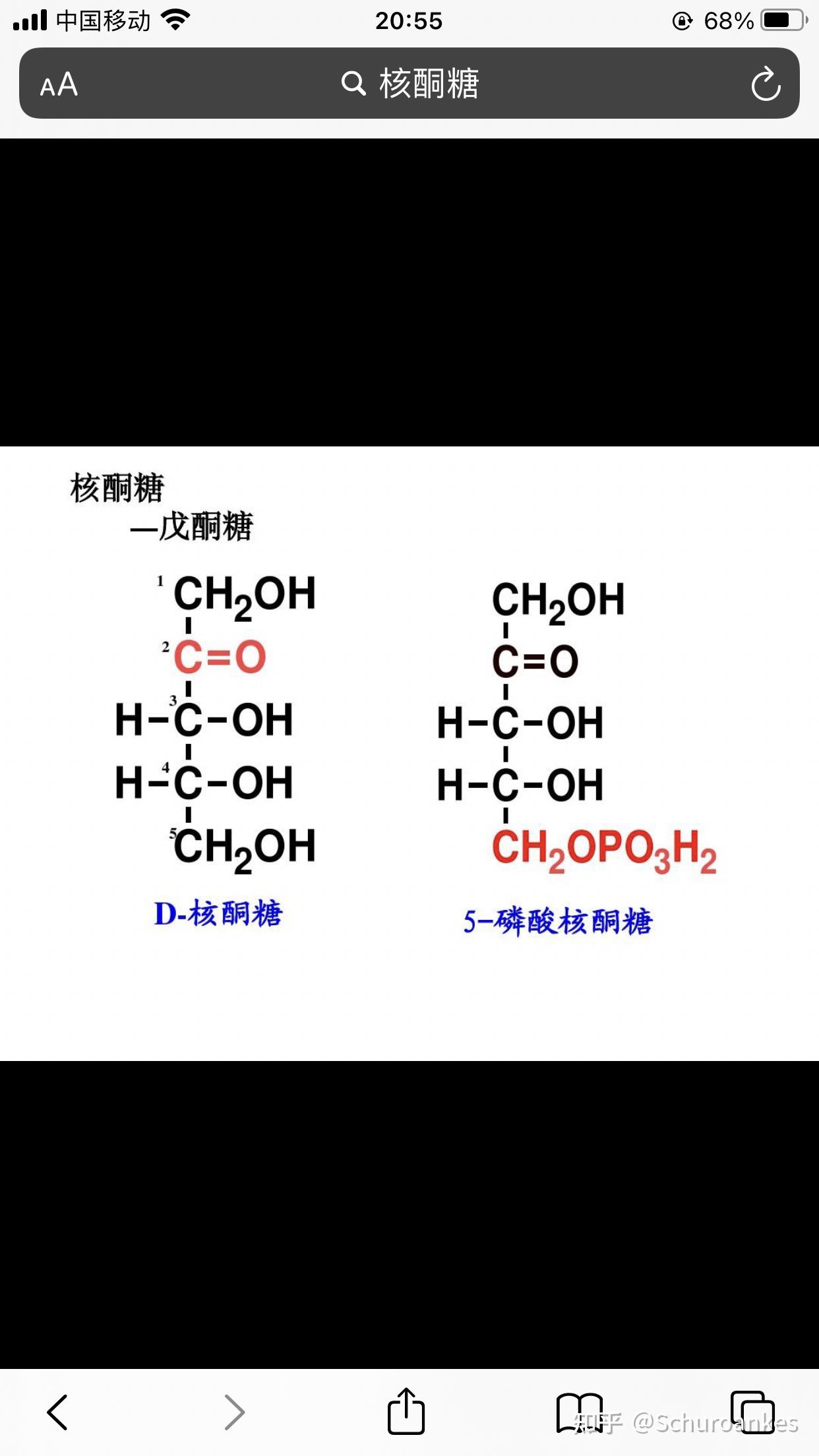 核酮糖结构式是什么样子? - 知乎