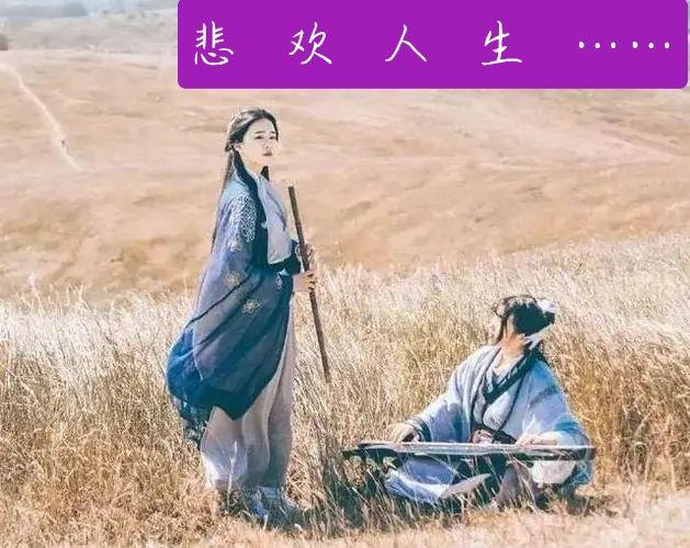 人类悲欢本不相通