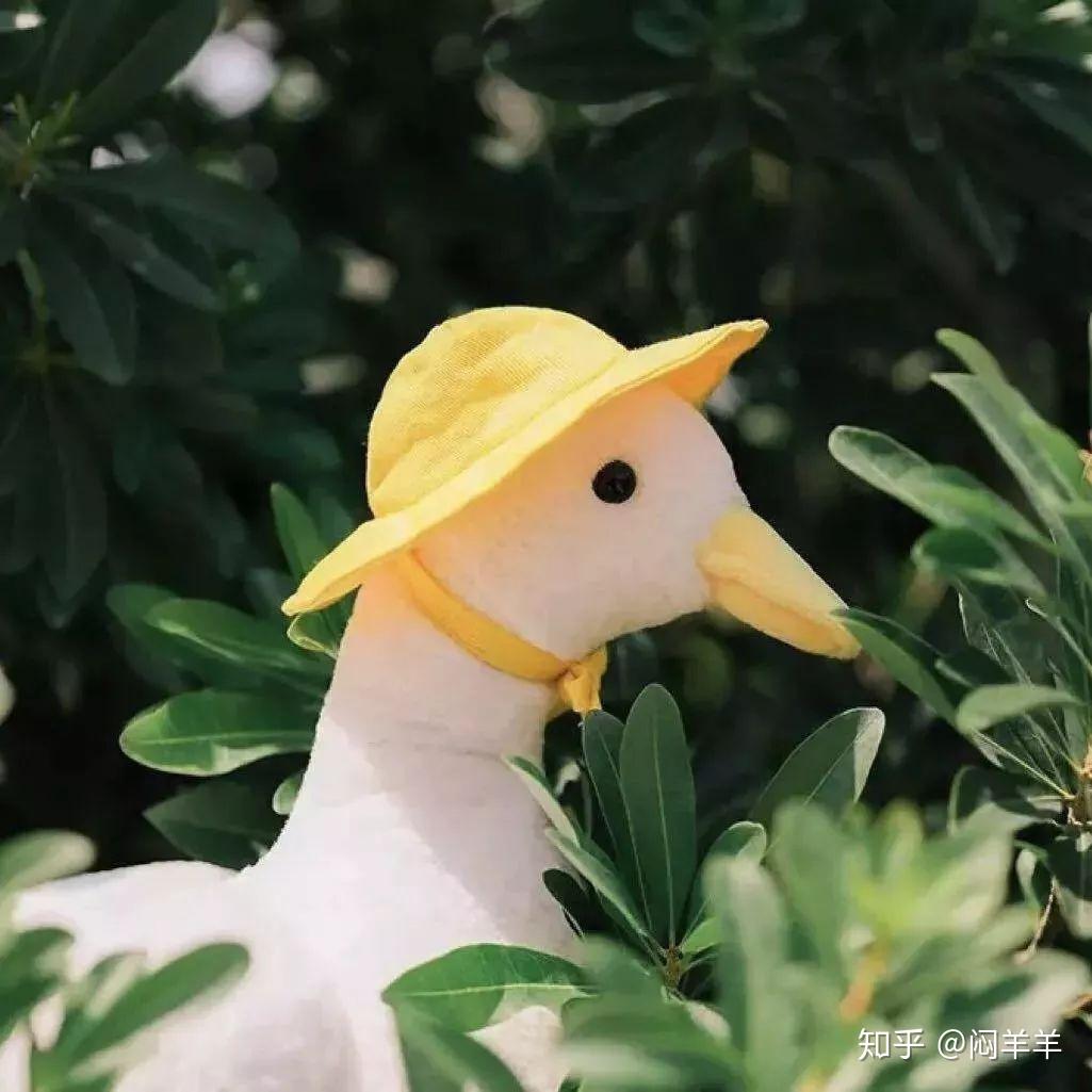 有什么能适合女孩儿的微信头像? - 知乎