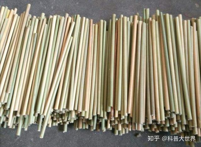竹子都是空心的？没见过实心的吧！其实实心竹并不少，用处很常见 - 知乎