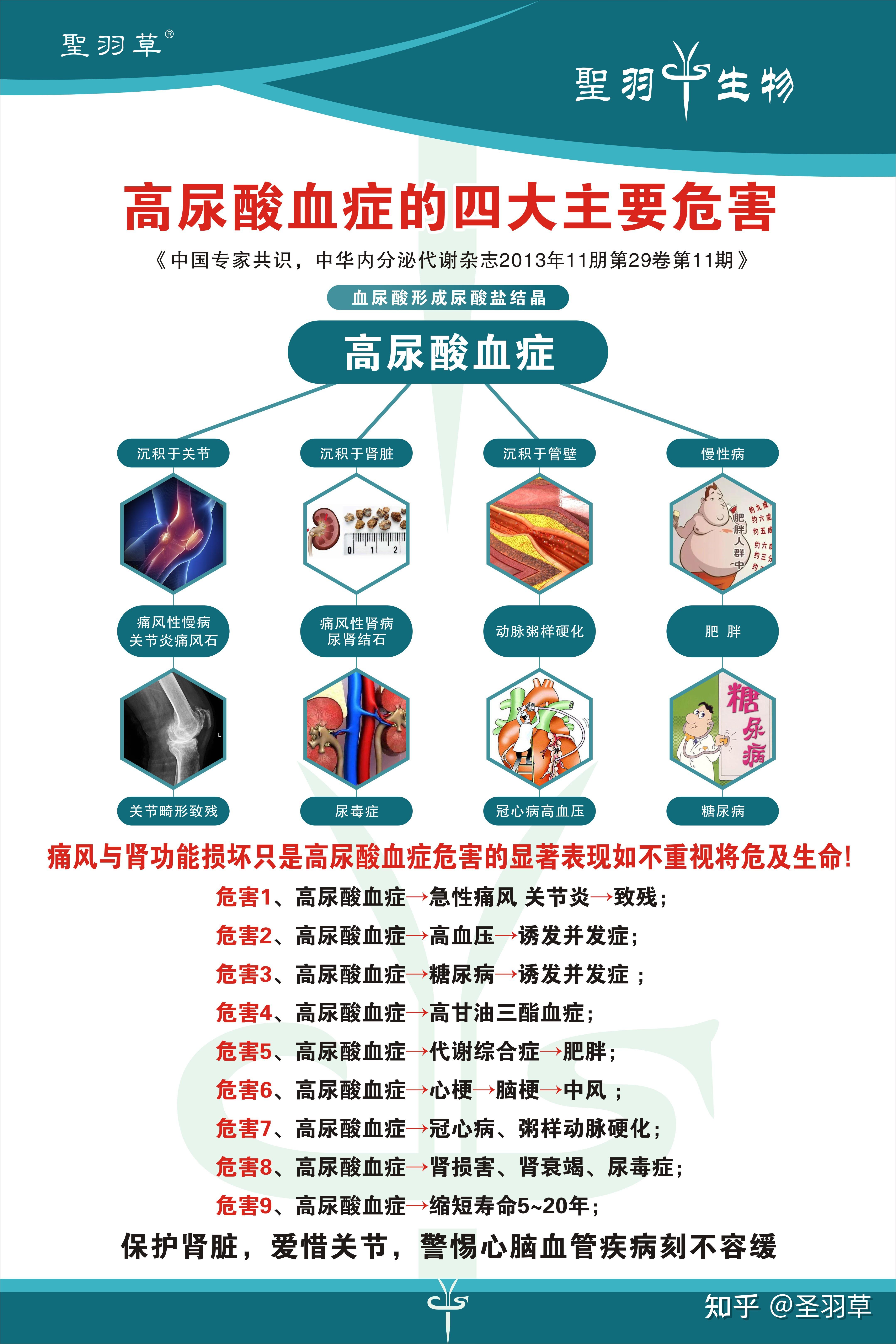 痛风只是高尿酸血症的一个后果,最严重的是什么你知道吗? - 知乎