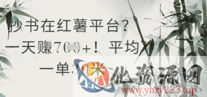 抄书在小红薯平台？平均一单30米，一天收益几张！